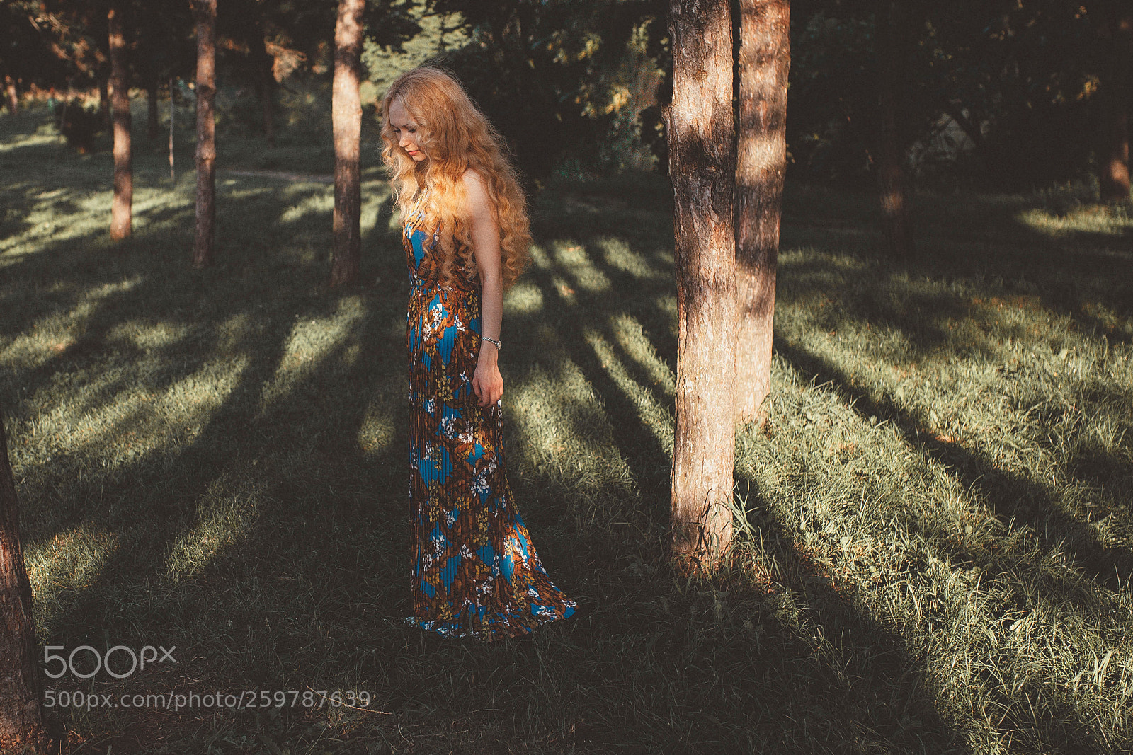 Canon EOS 5D Mark II sample photo. Re_2016 photography