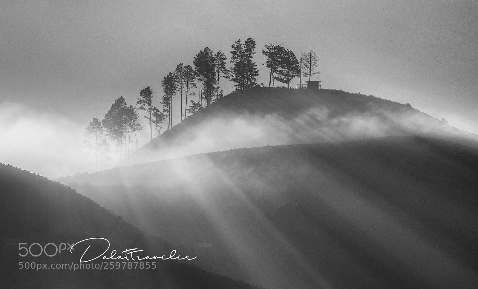 Canon EOS 5DS R sample photo. Super sun ray photography