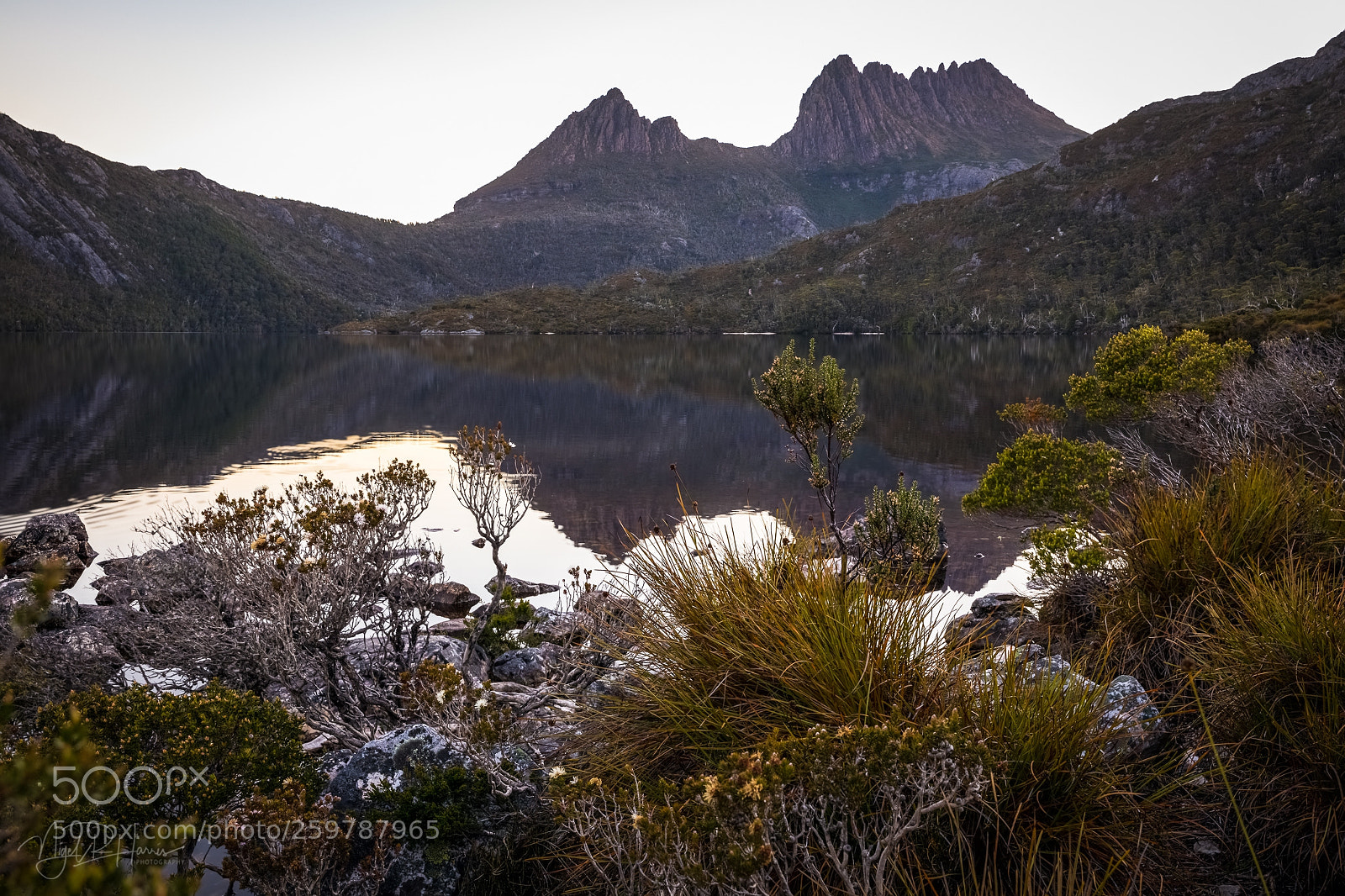 Canon EOS 5D Mark IV sample photo. Cradle mountain photography