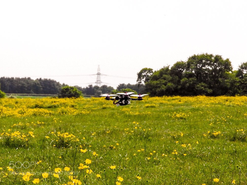 Nikon Coolpix P610 sample photo. Racing drone photography