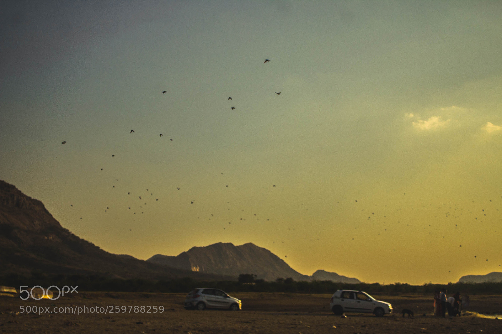 Canon EOS 1300D (EOS Rebel T6 / EOS Kiss X80) sample photo. Pure pushkar photography