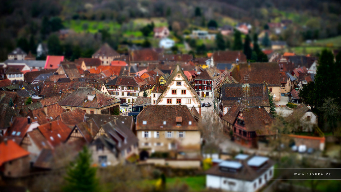 Sony a99 II sample photo. Tilt-shift aerial view of little village andlau in alsace photography