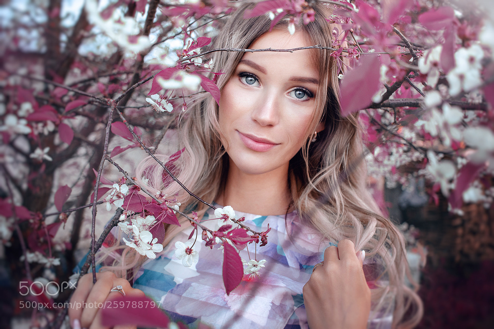 Canon EOS 60D sample photo. Cherry blossom photography
