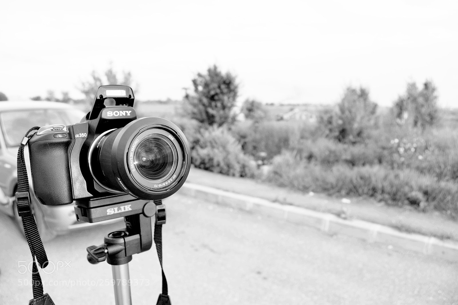 Nikon D3300 sample photo. On the road photography