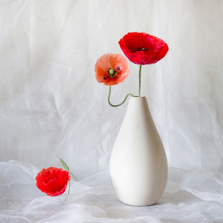 Pentax K-1 sample photo. Still life with poppies photography