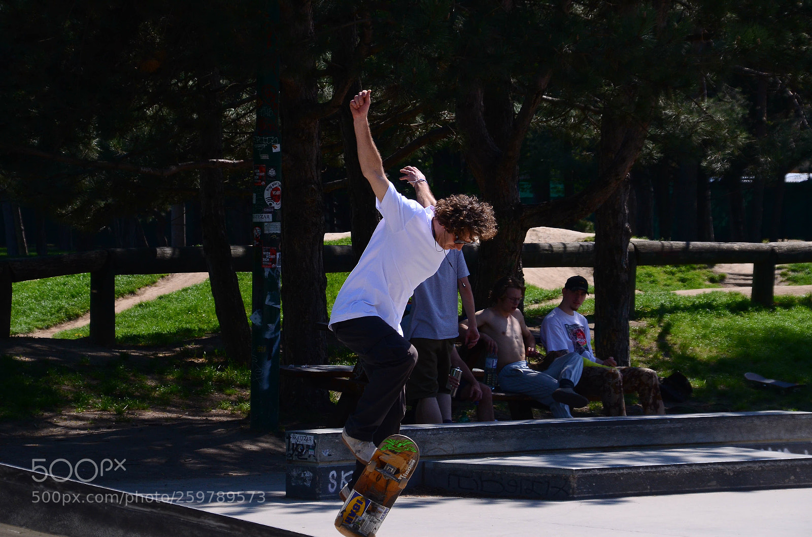 Nikon D7000 sample photo. Virtuoso photography