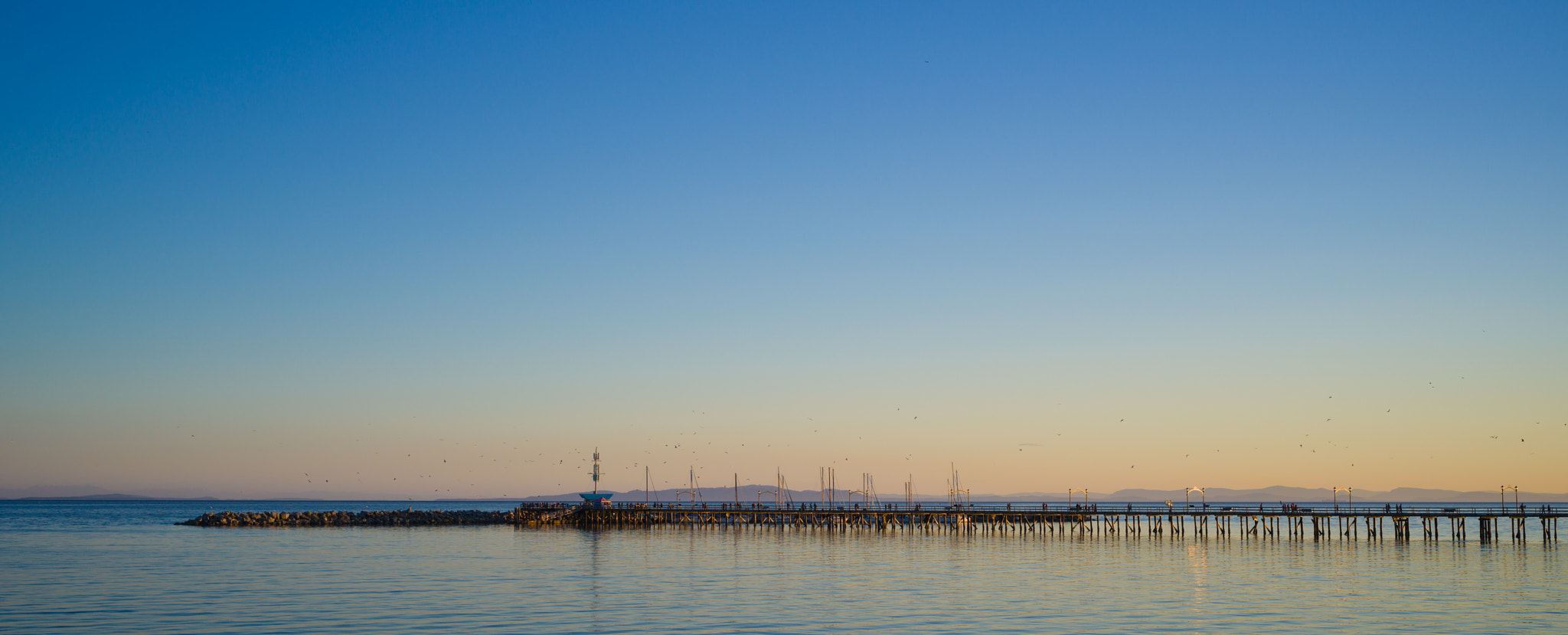 Hasselblad X1D-50c sample photo. White rock pier at sunset photography