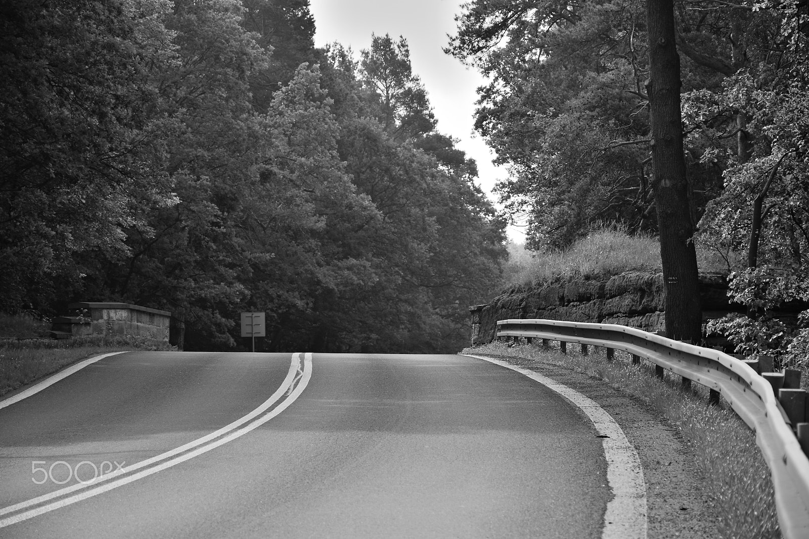Nikon D5300 sample photo. Route 9 leading between trees and little rocks in machuv kraj tourist area in morning with black... photography