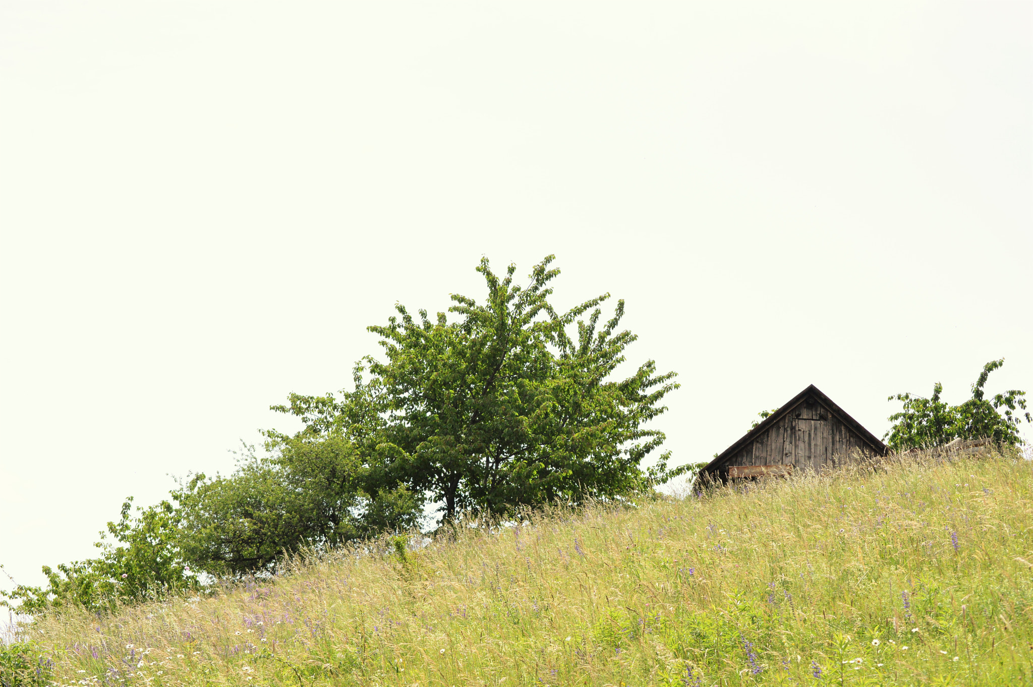 Nikon D3200 sample photo