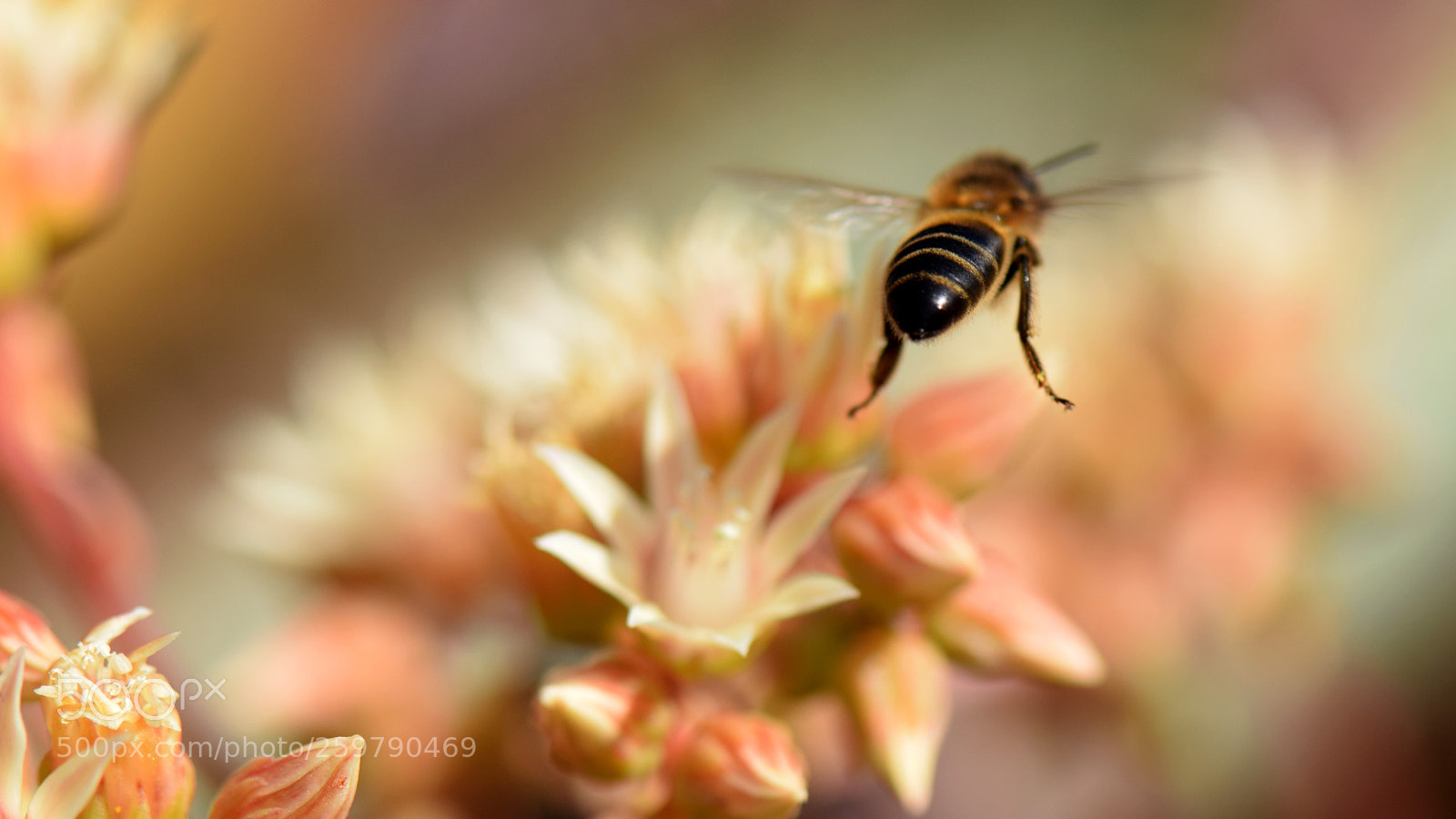 Nikon D5300 sample photo. Untitled photography