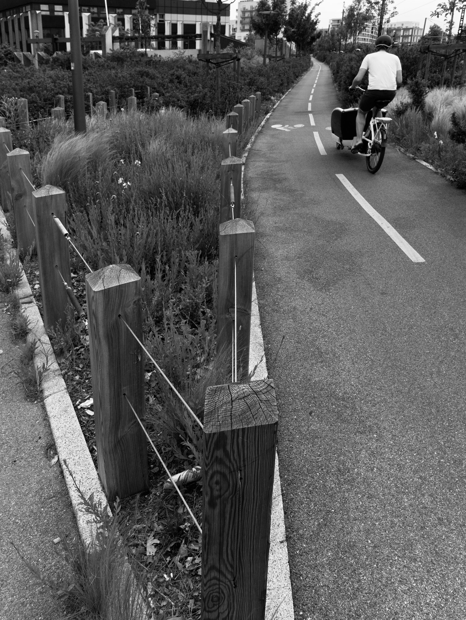 Panasonic Lumix DC-GX9 sample photo. *** photography