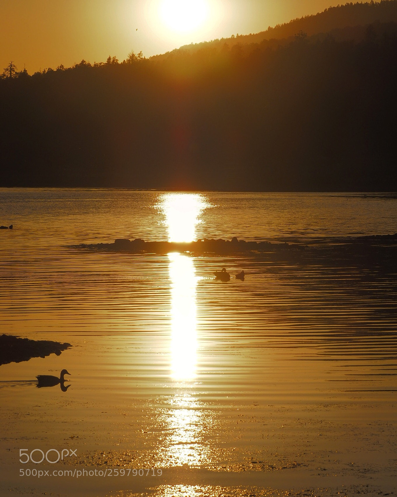 Olympus OM-D E-M1 Mark II sample photo. The sunset at big photography