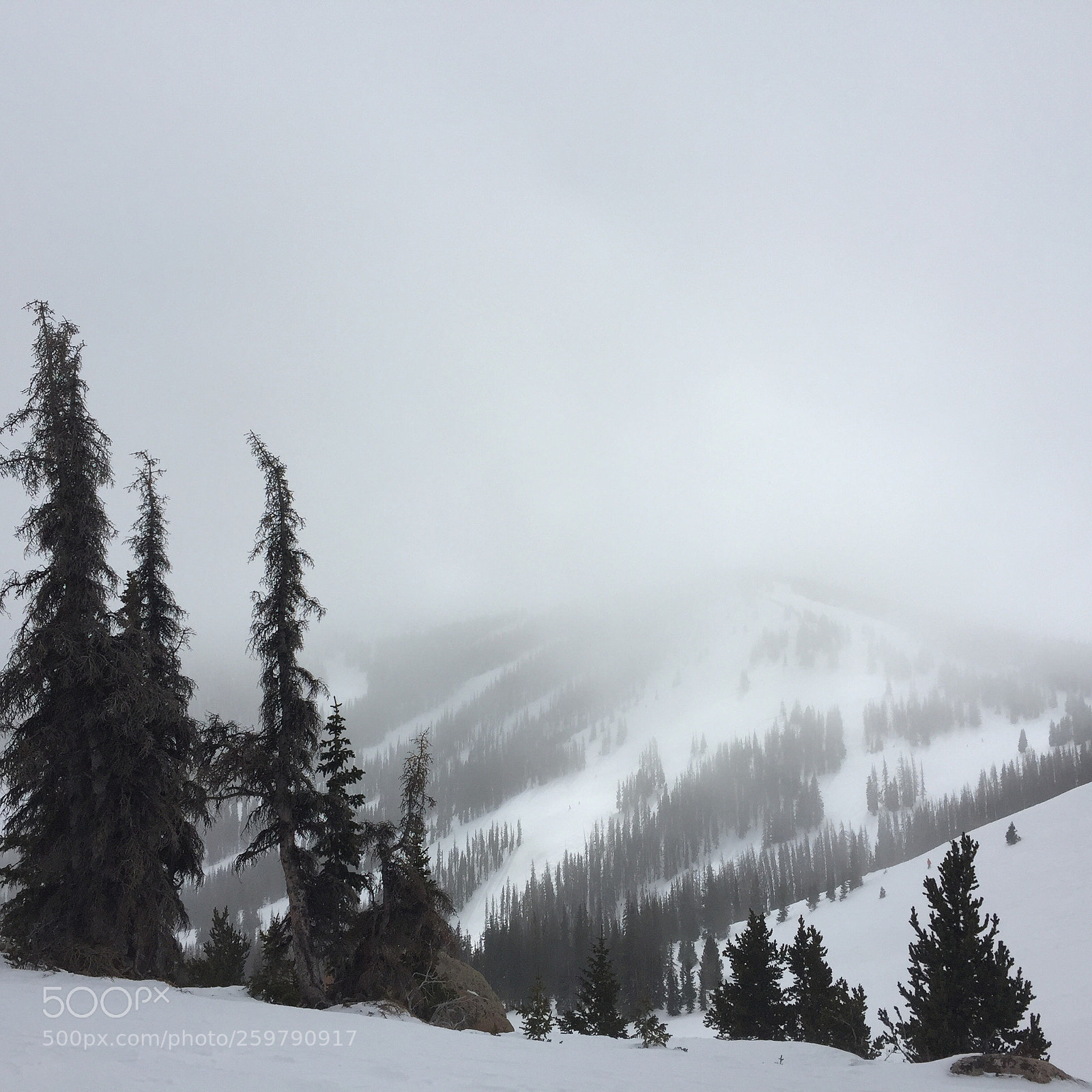 Apple iPhone 6 Plus sample photo. Monarch mountain photography