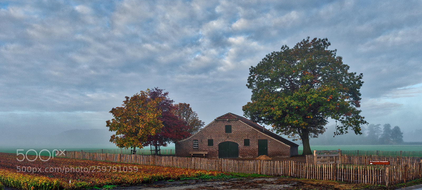 Nikon D4S sample photo. Landscape with some fog ! photography