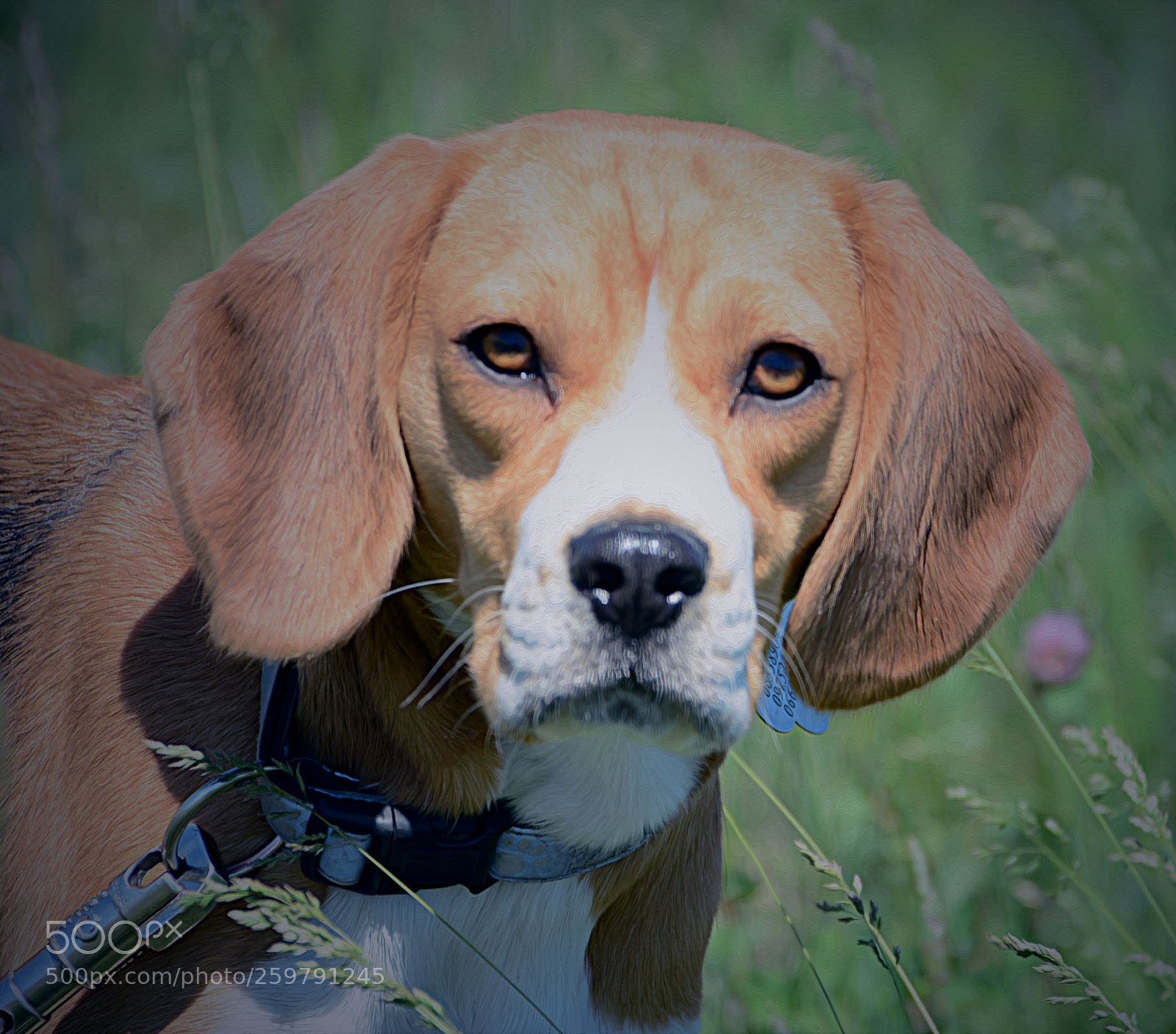 Nikon D7100 sample photo. Untitled photography