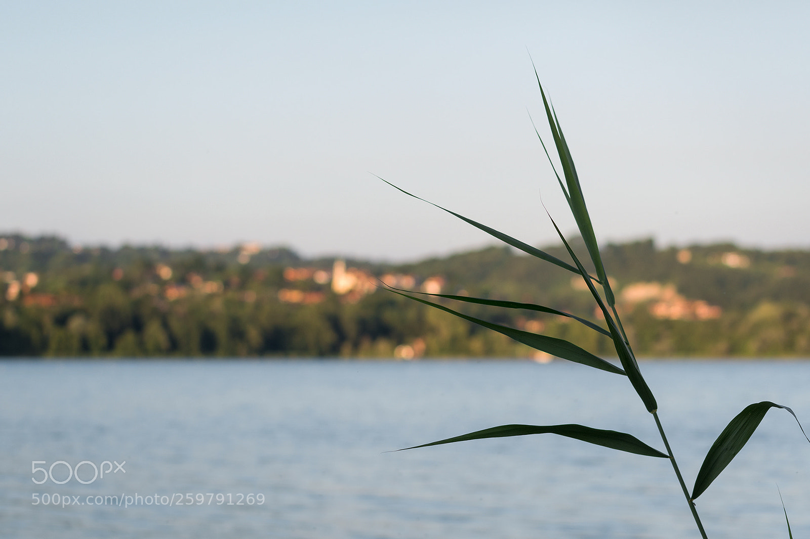 Nikon D500 sample photo. Look beyond photography