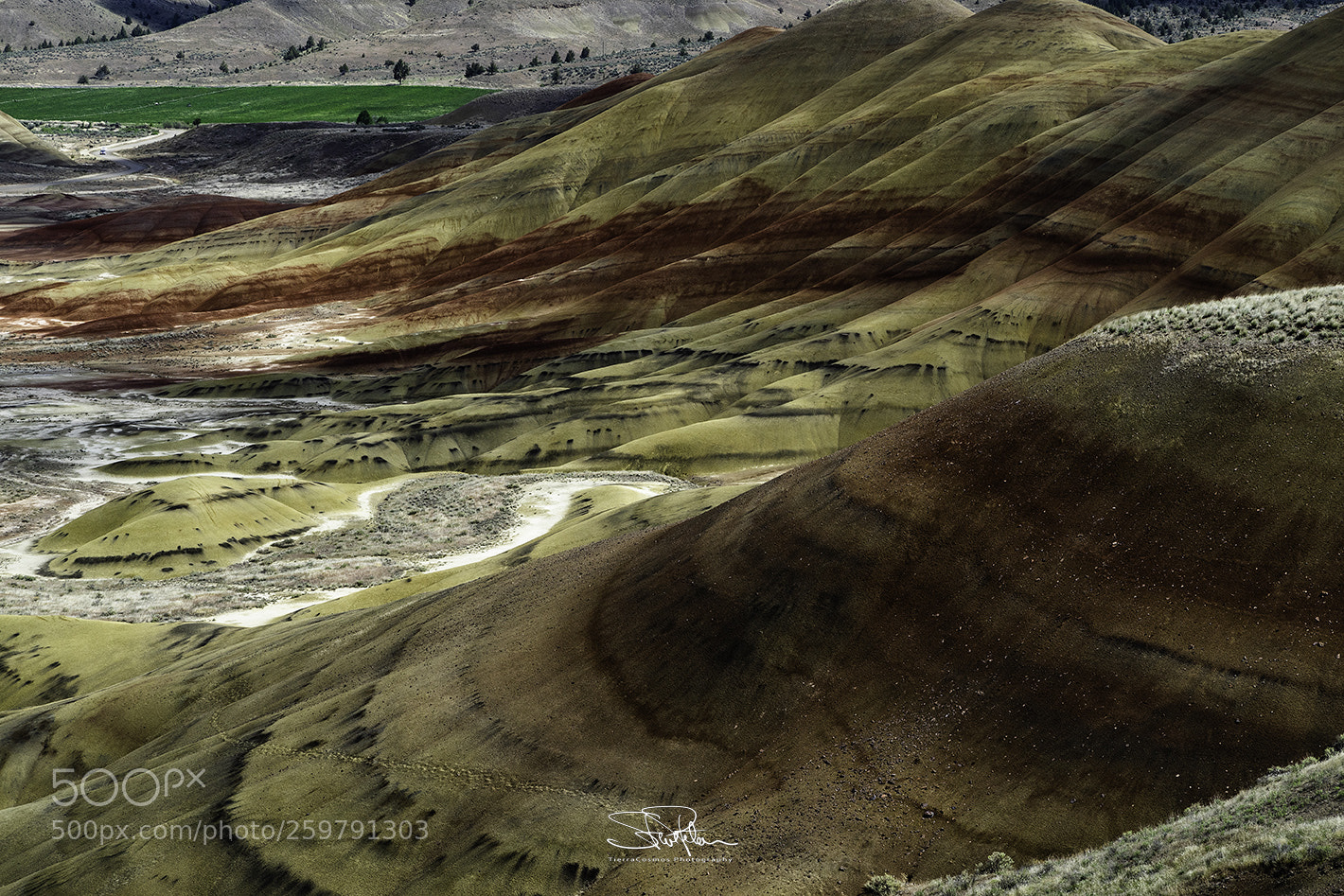 Sony a7 II sample photo. Painted hills exposed photography