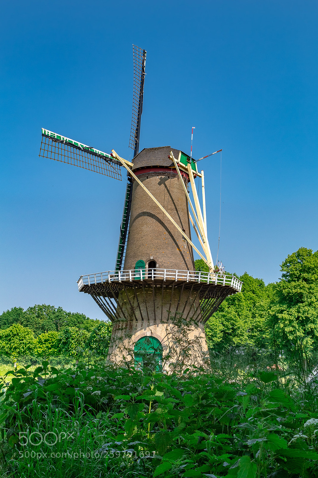Canon EOS 1300D (EOS Rebel T6 / EOS Kiss X80) sample photo. Molen photography