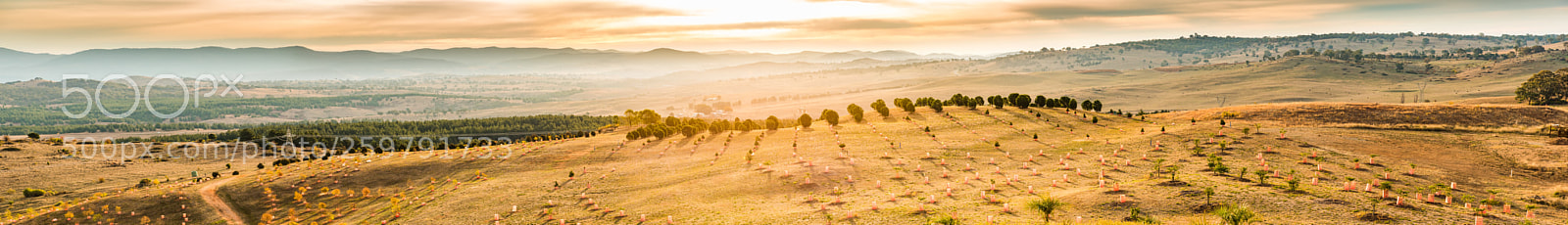 Nikon D750 sample photo. Golden sunset at the photography