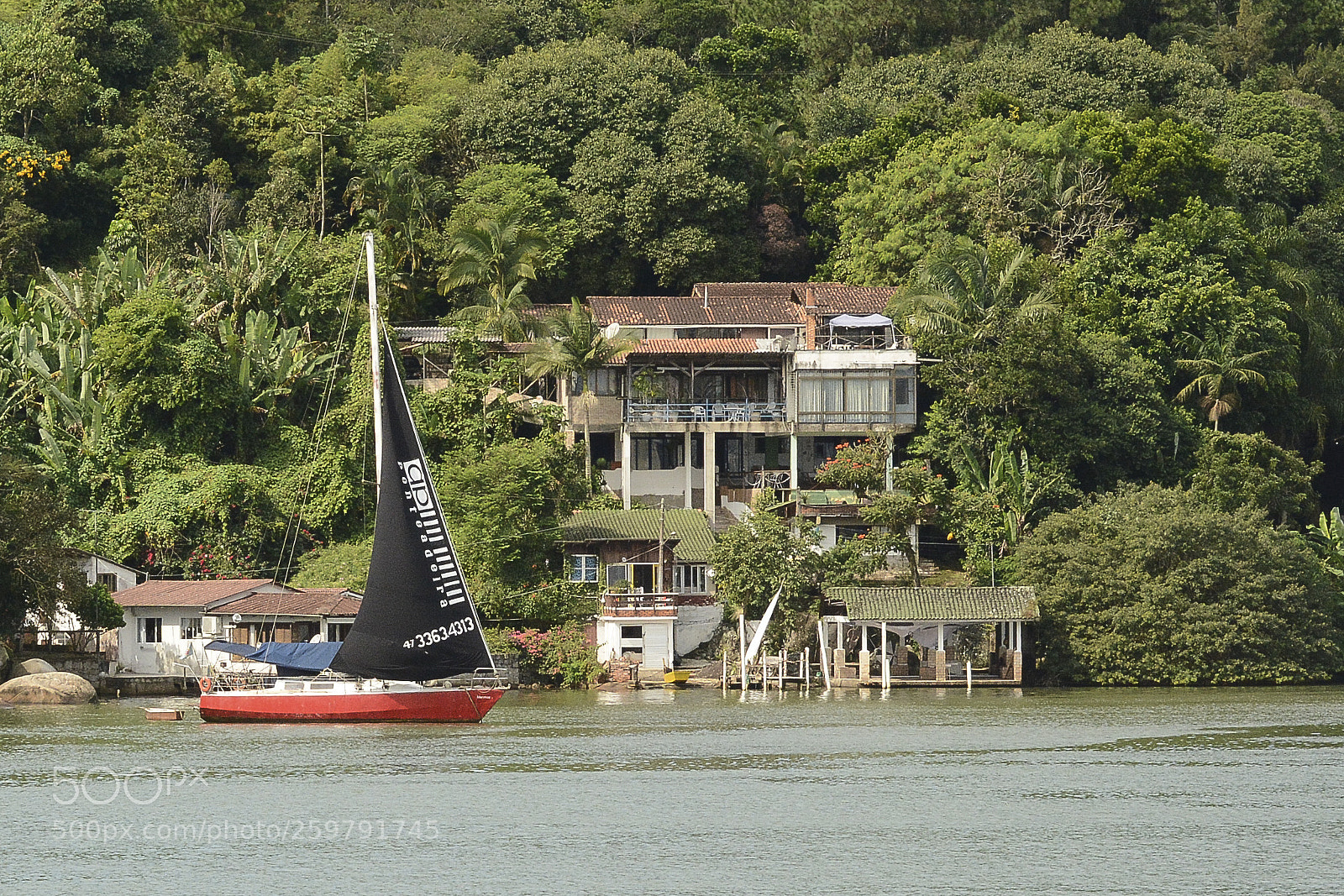 Nikon D7100 sample photo. Vivendo na natureza. photography