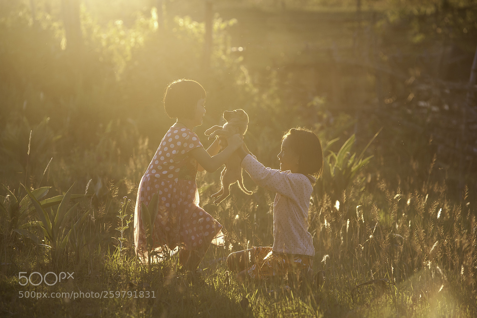 Nikon D700 sample photo. Love & give photography