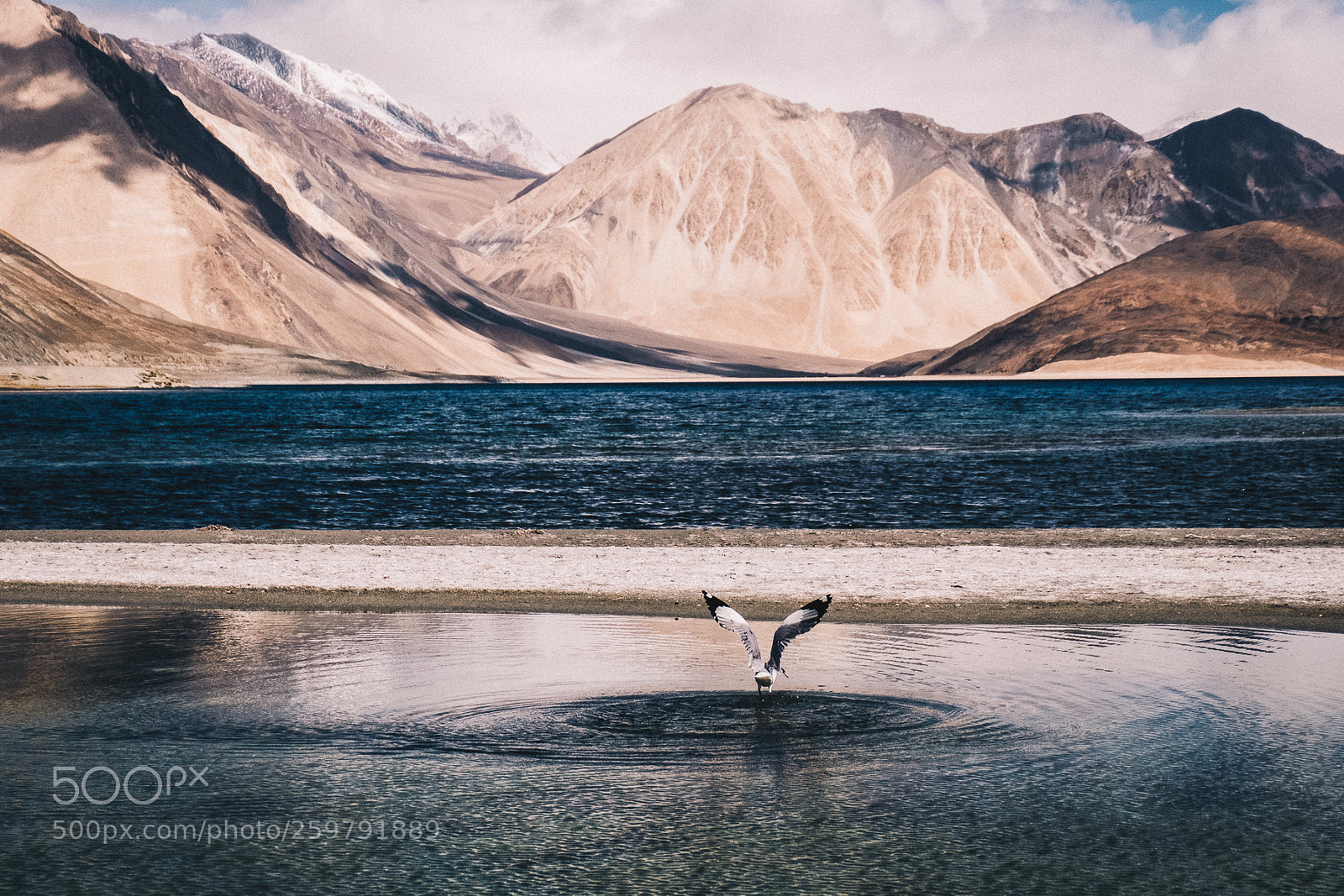 Fujifilm X-T20 sample photo. Pangong lake. photography
