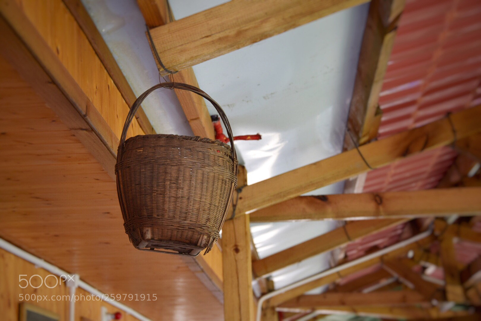 Nikon D5300 sample photo. Untitled photography