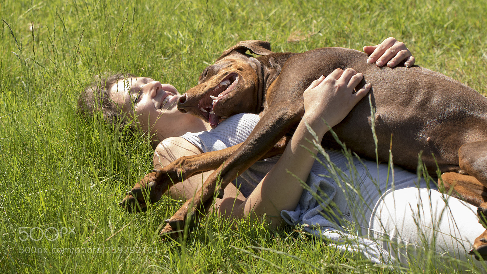 Canon EOS 7D Mark II sample photo. Chavelly the dobermann lady photography