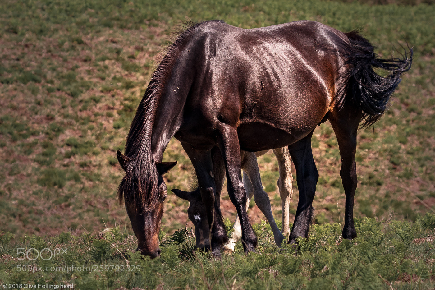 Canon EOS 7D Mark II sample photo. Mother and child reunion photography
