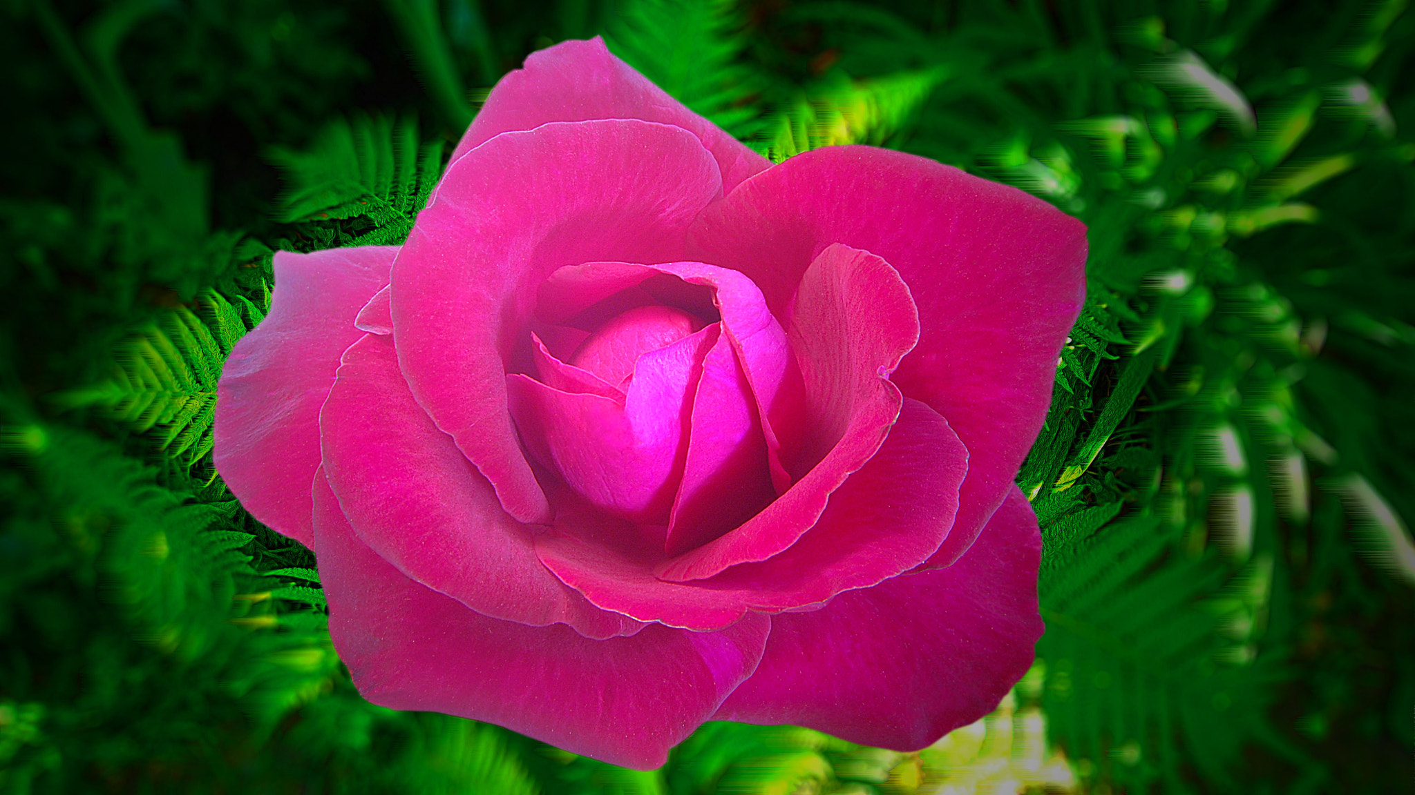 Samsung ST65 sample photo