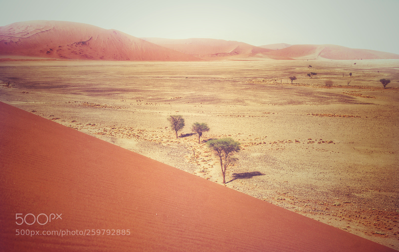 Sony SLT-A77 sample photo. Namib desert photography