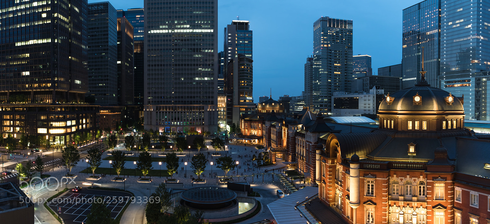 Nikon D5600 sample photo. Tokyo station photography