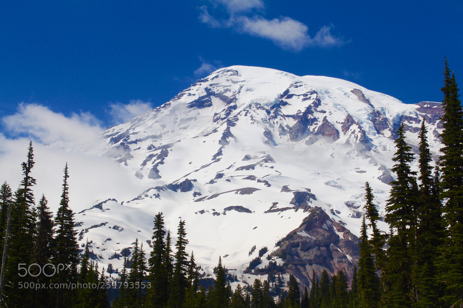 Canon EOS 500D (EOS Rebel T1i / EOS Kiss X3) sample photo. Mount rainier photography