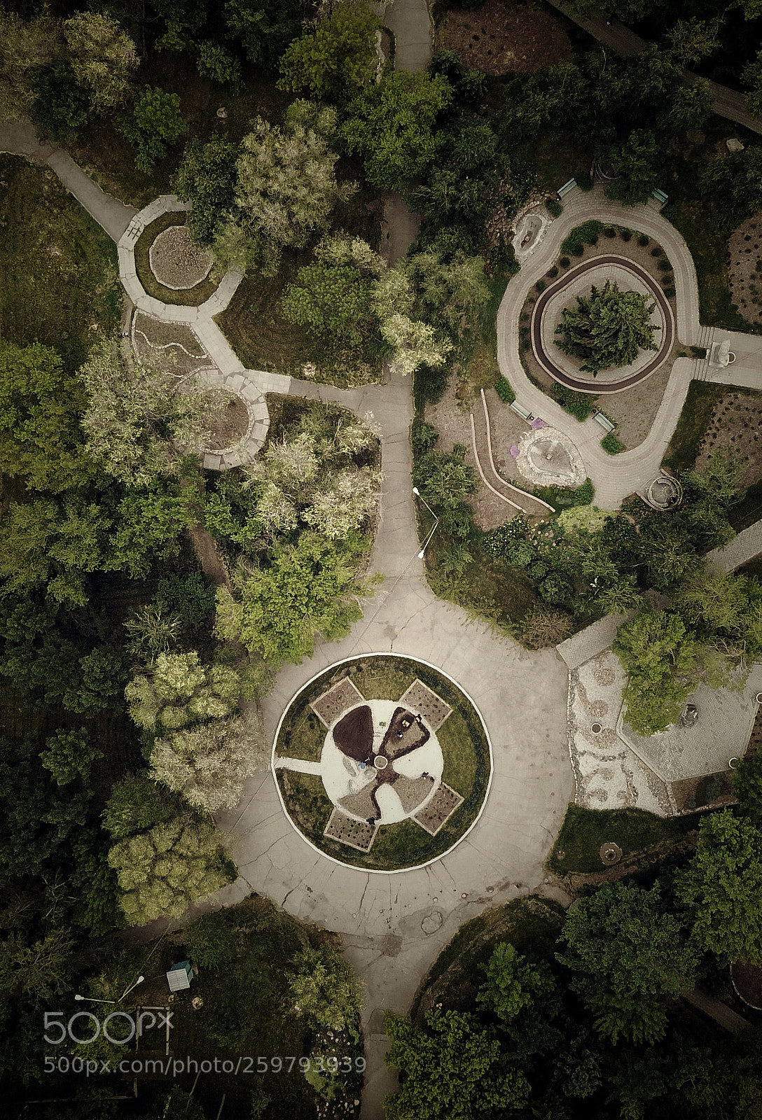 DJI FC220 sample photo. City garden photography