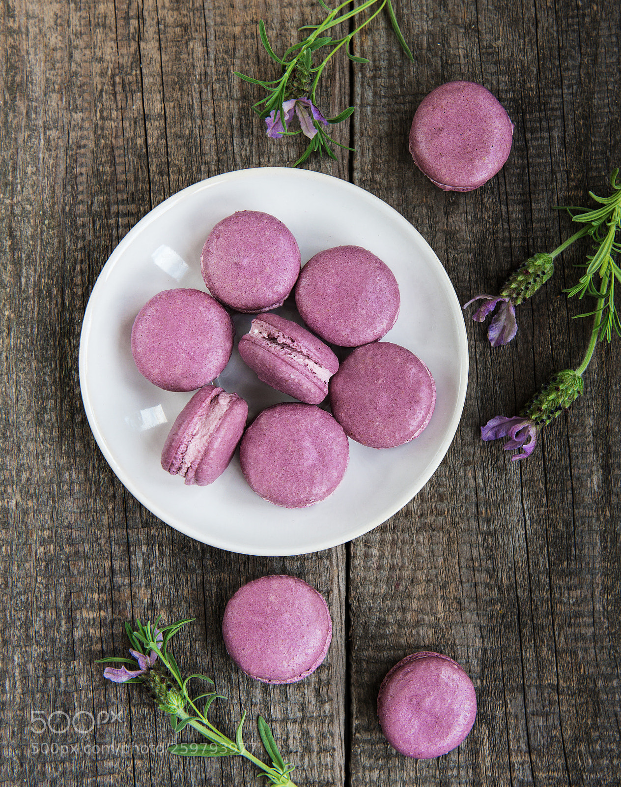 Nikon D750 sample photo. French macarons with lavender photography