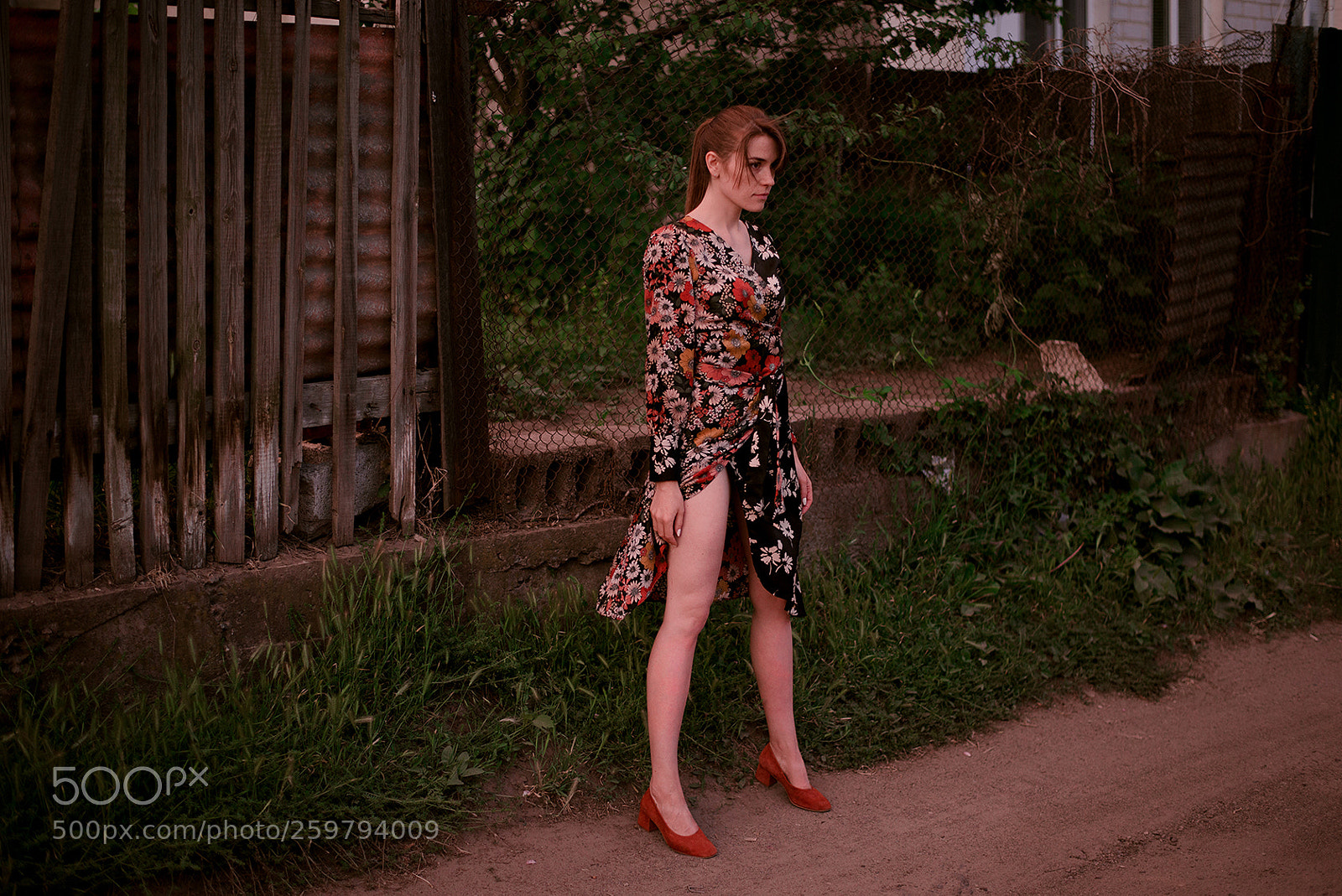 Nikon D610 sample photo. Blk photography