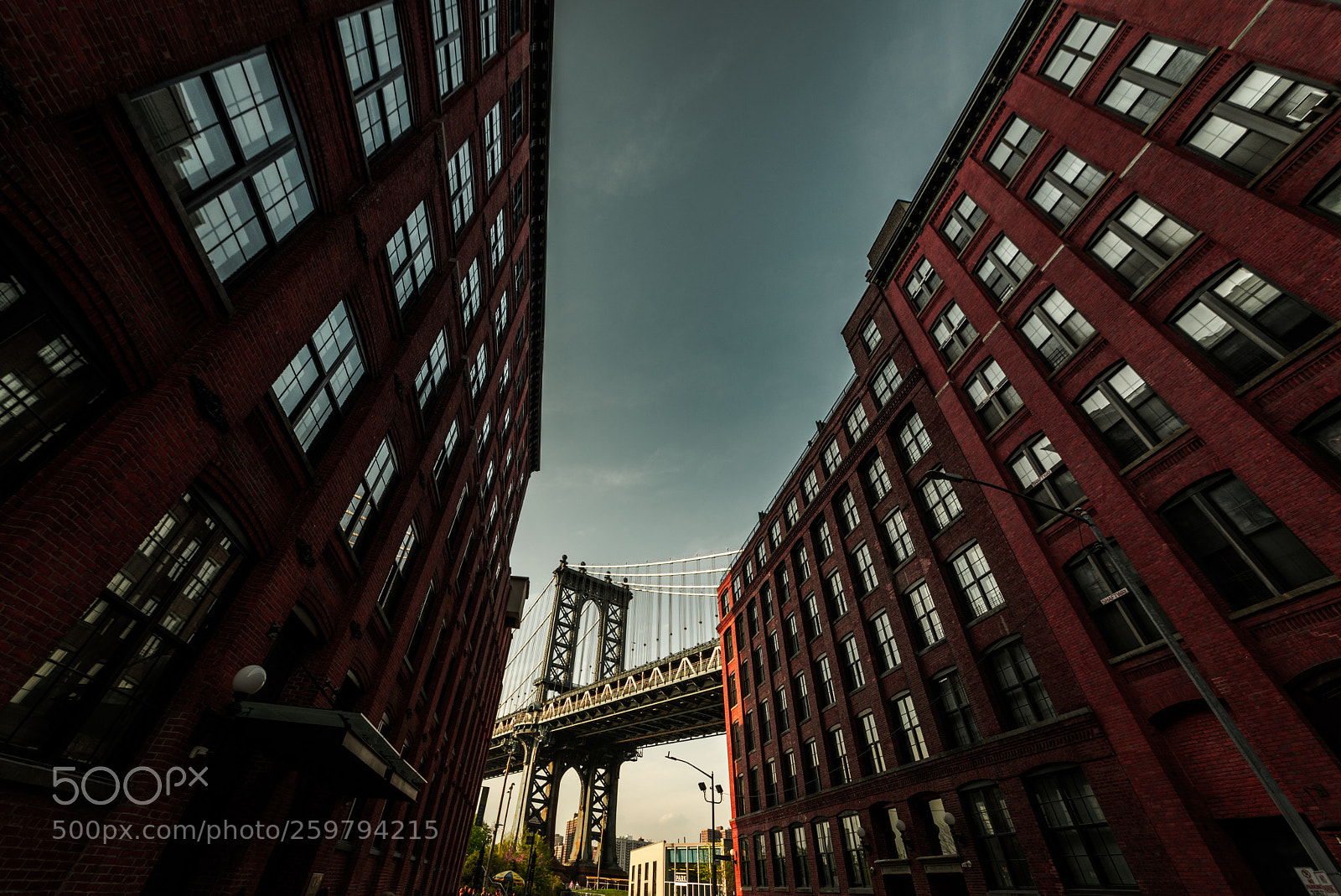 Nikon D610 sample photo. _\_manhattan bridge_/_ photography