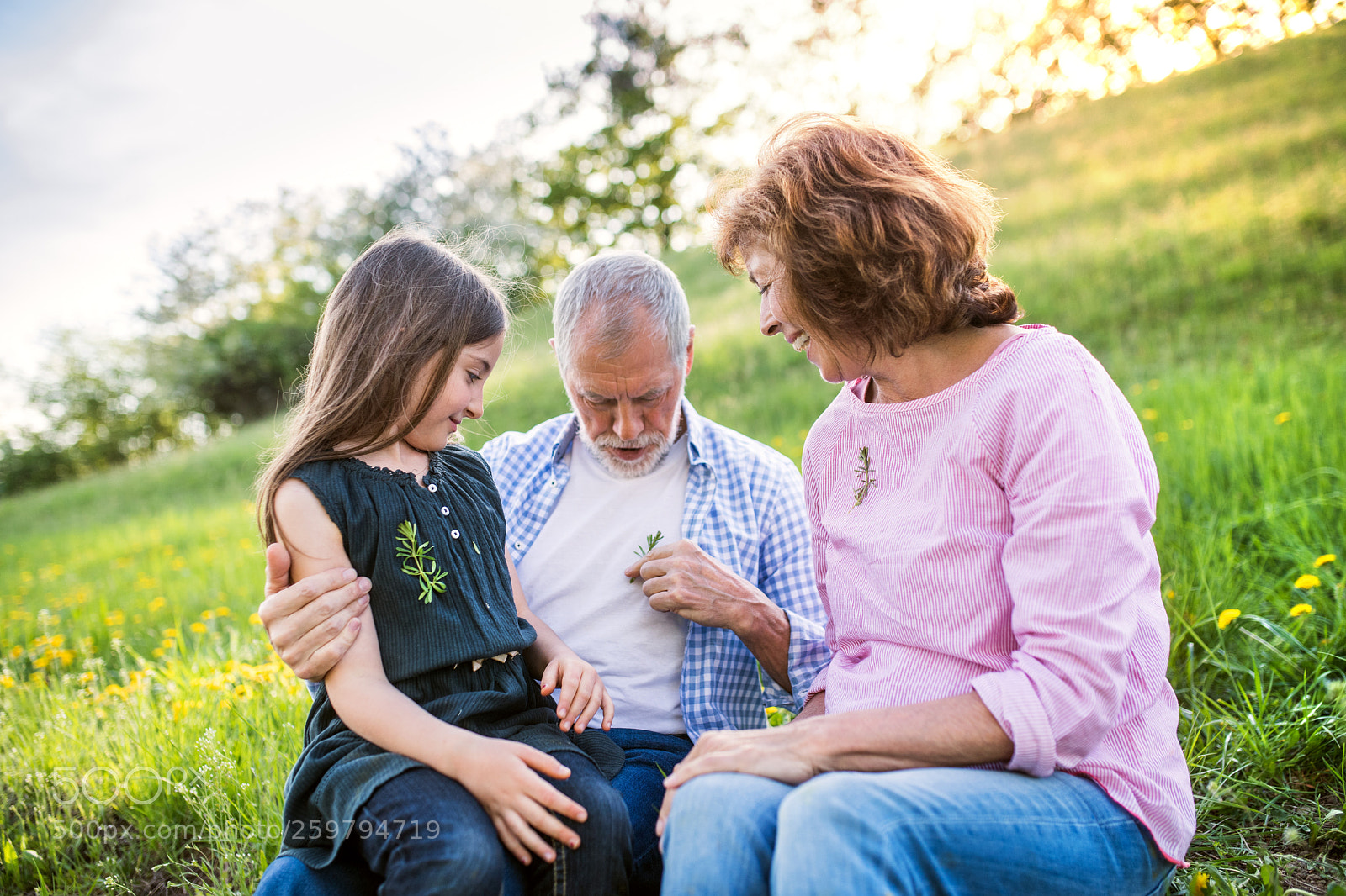Nikon D5 sample photo. Senior couple with grandaughter photography