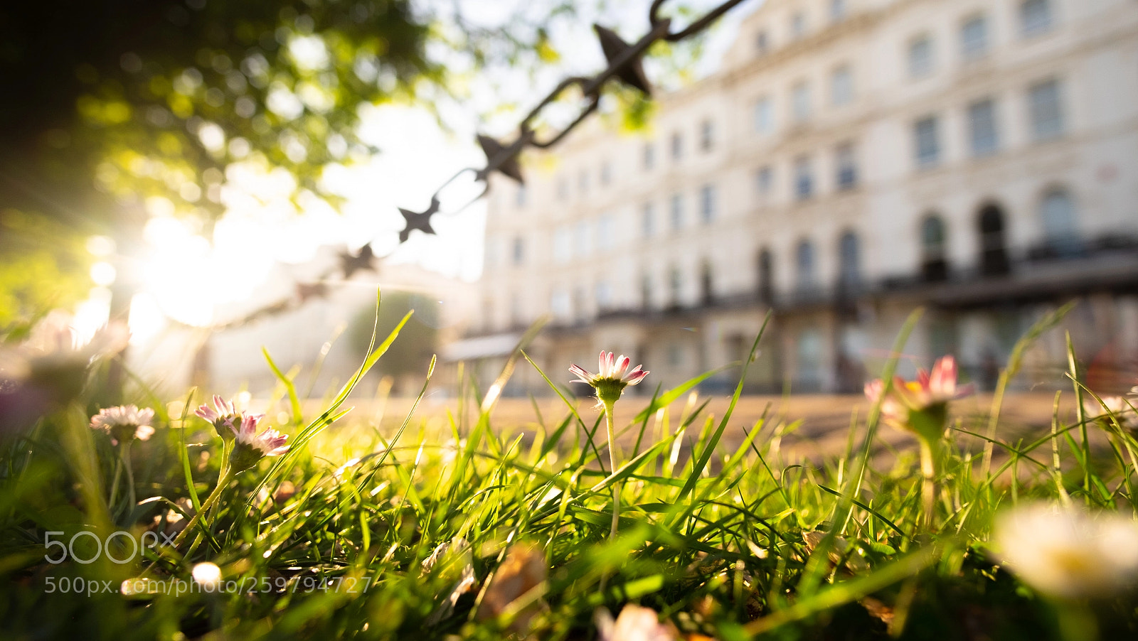 Fujifilm X-T1 sample photo. Hove photography