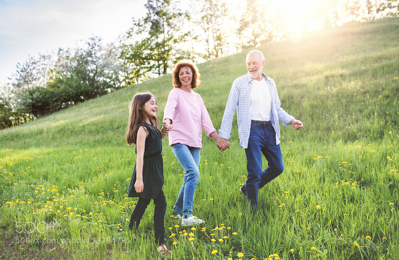 Nikon D5 sample photo. Senior couple with grandaughter photography
