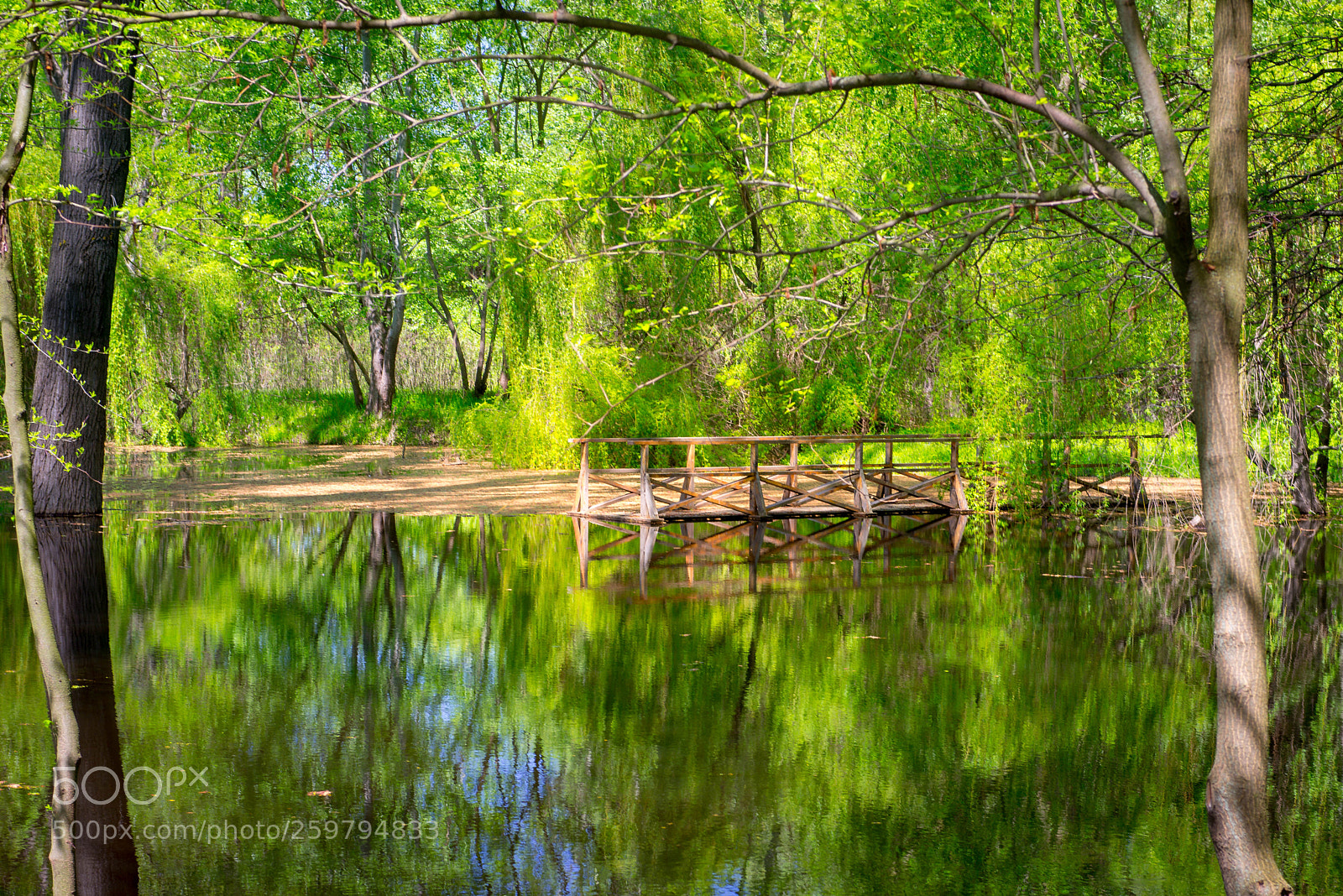 Nikon D800 sample photo. Almost a bridge photography
