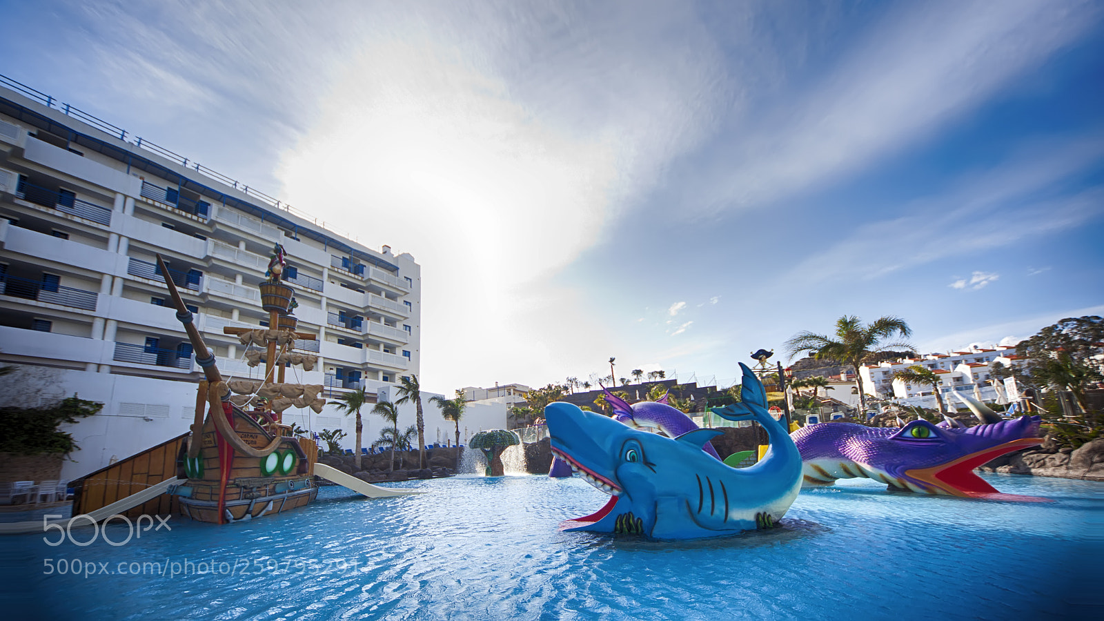 Canon EOS 5D Mark II sample photo. The shark and the photography