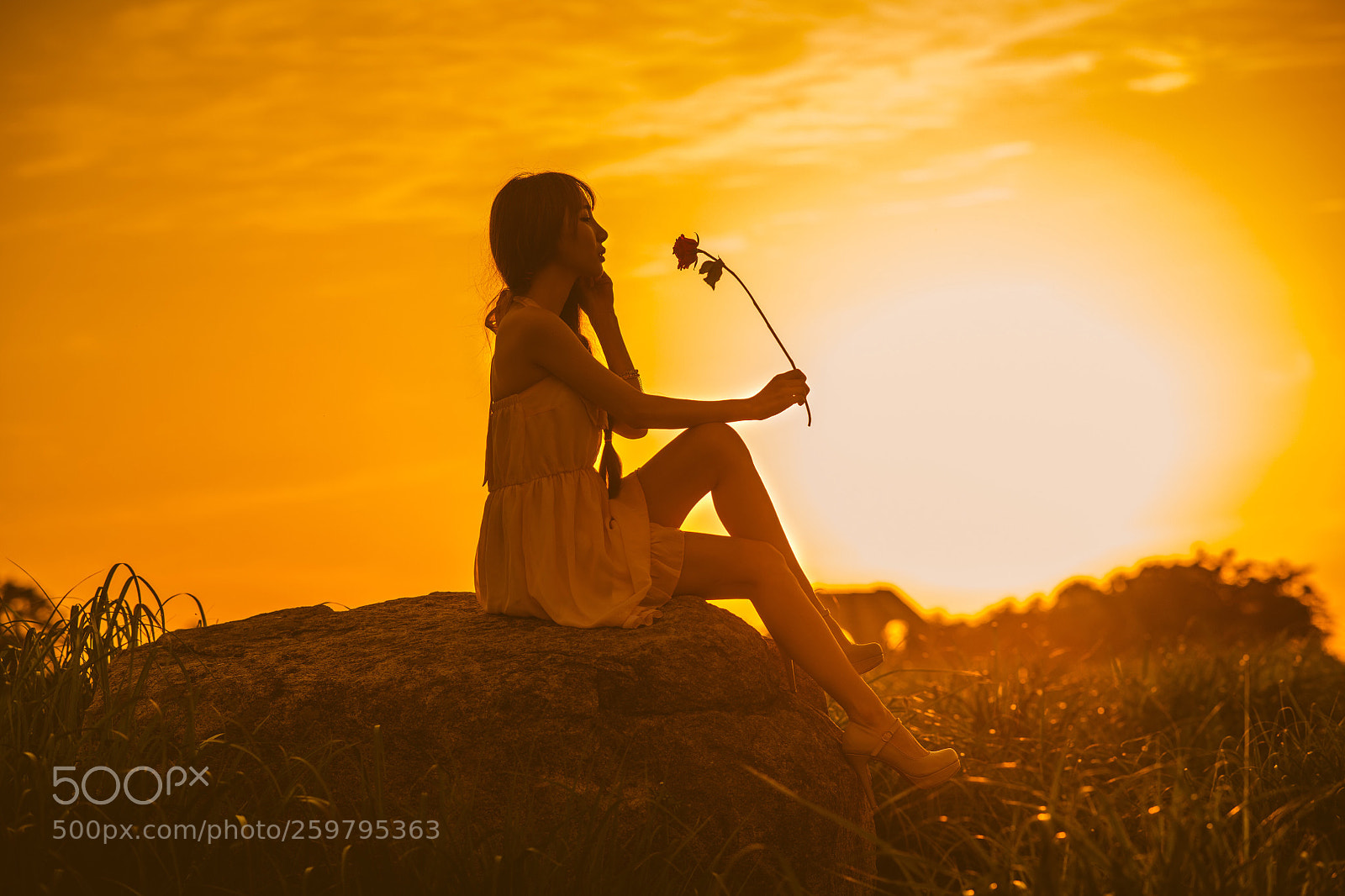Nikon D850 sample photo. Sunset photography