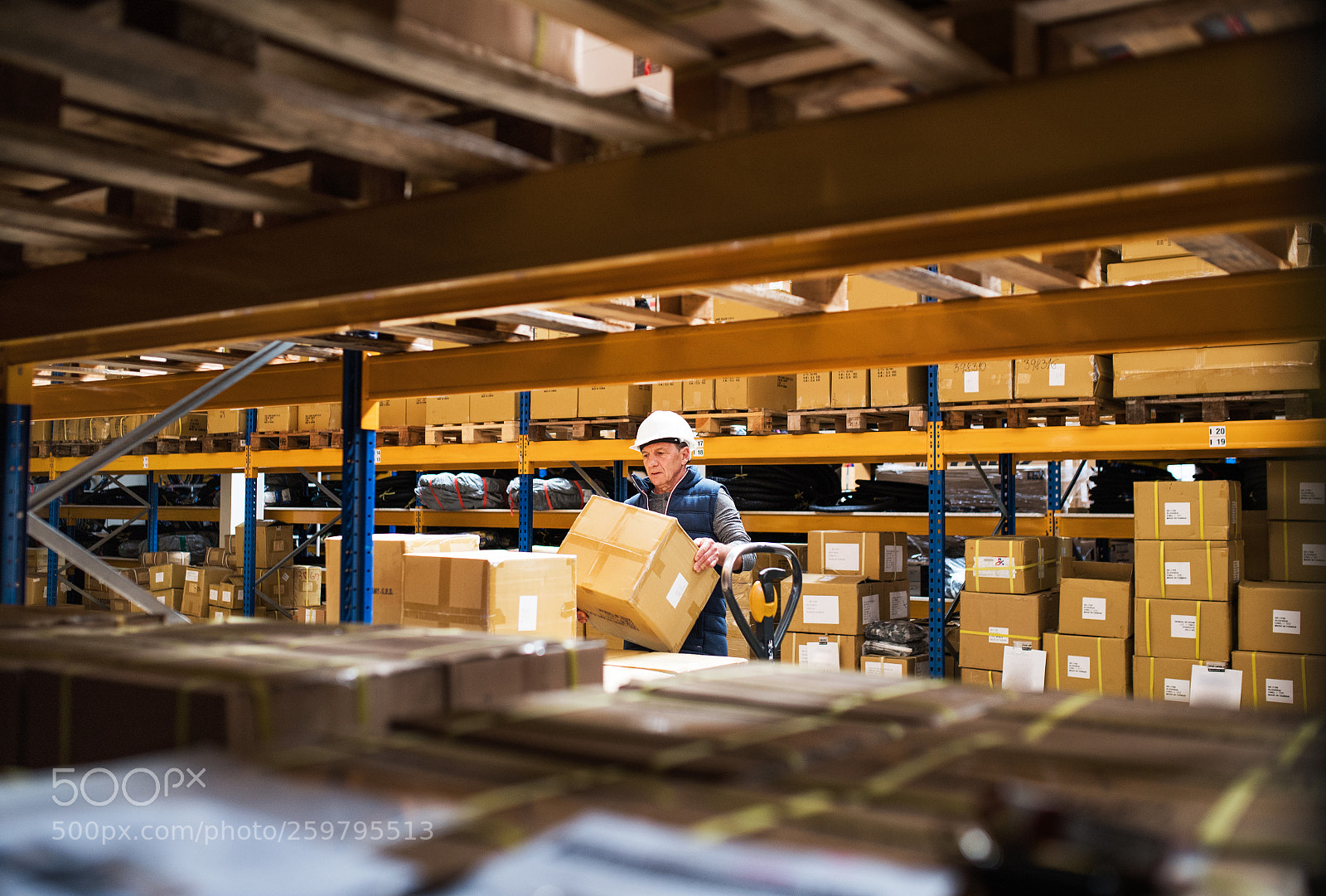 Nikon D5 sample photo. Senior male warehouse worker photography