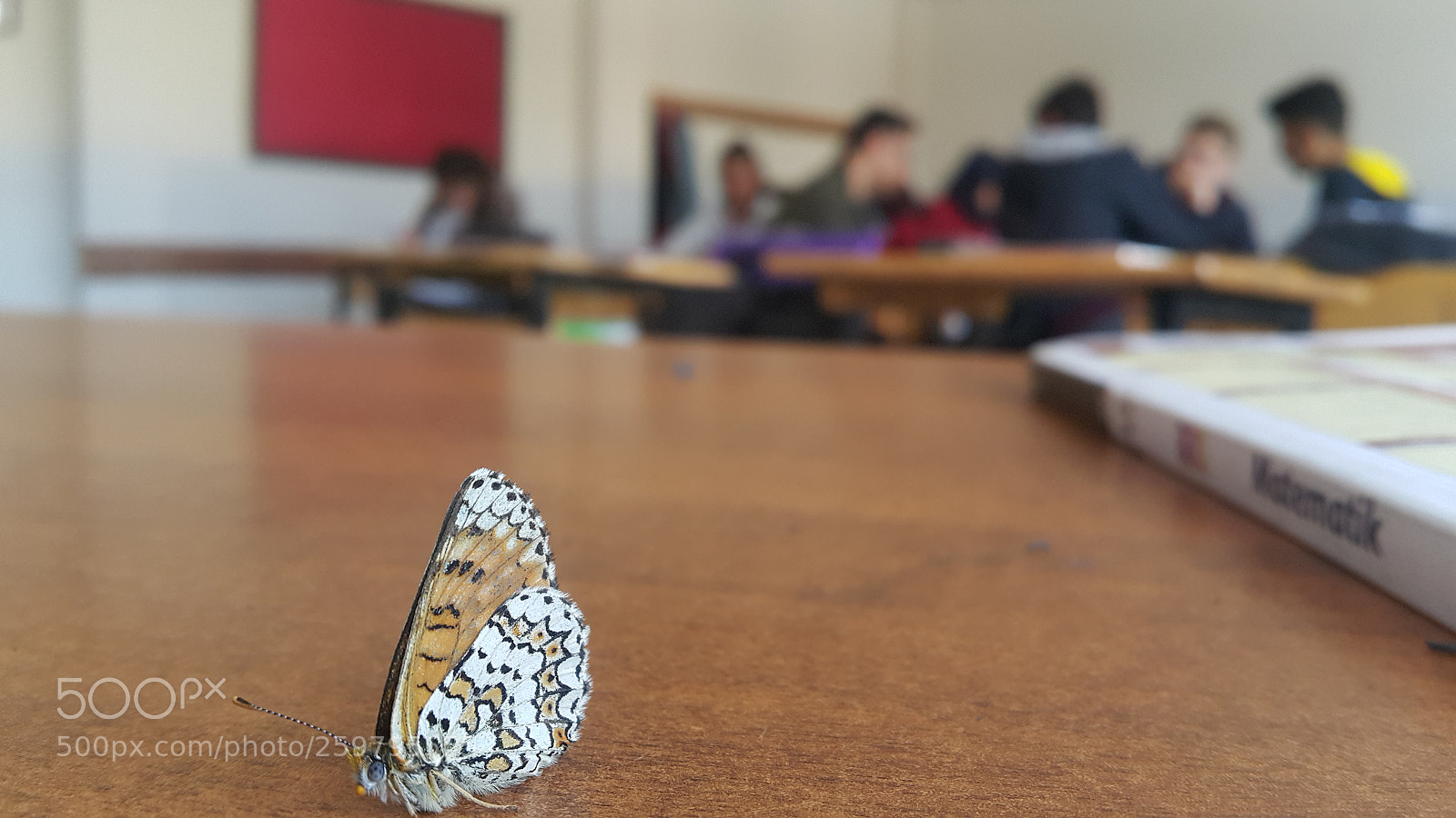 Samsung Galaxy Note4 sample photo. Untitled photography
