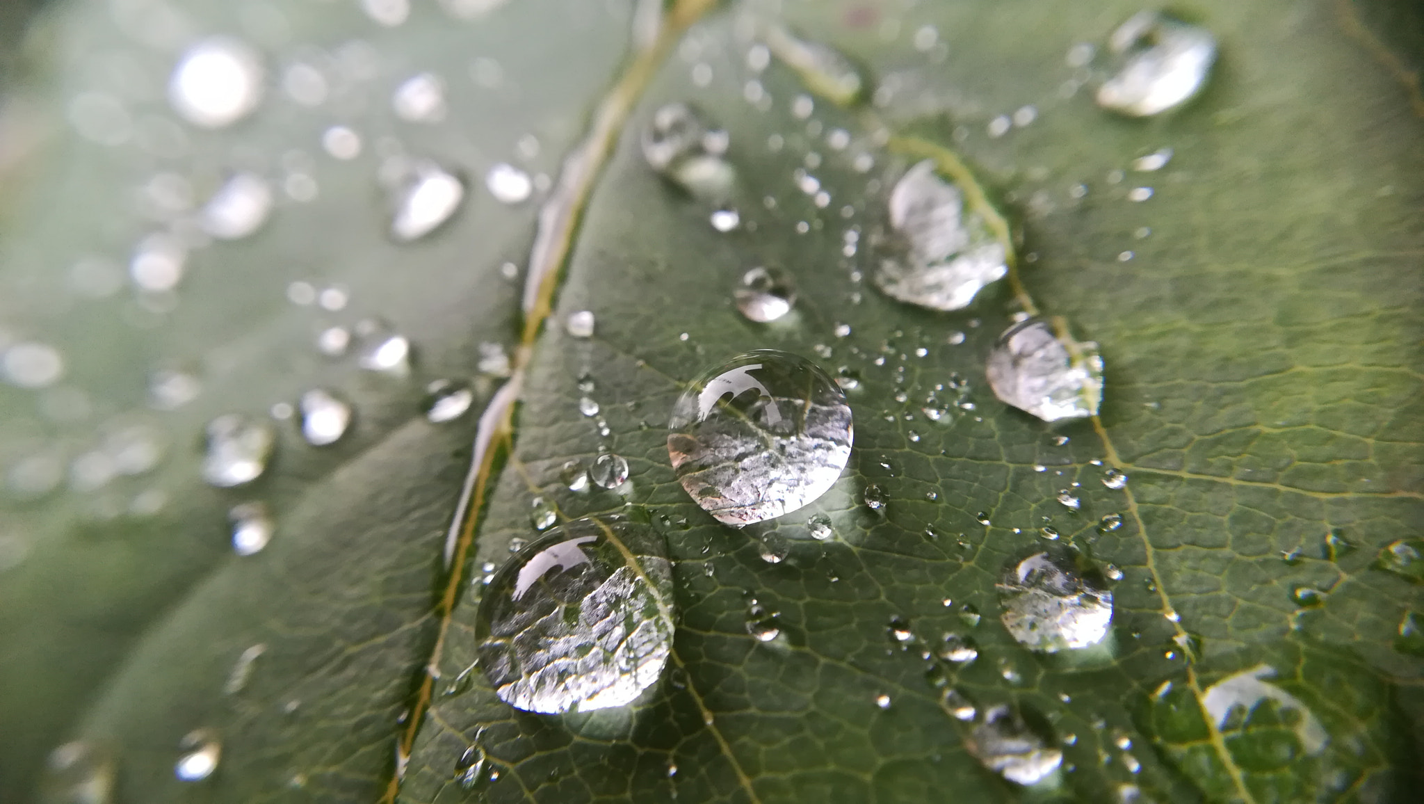 HUAWEI PRA-LX1 sample photo. Gouttes d'eau photography