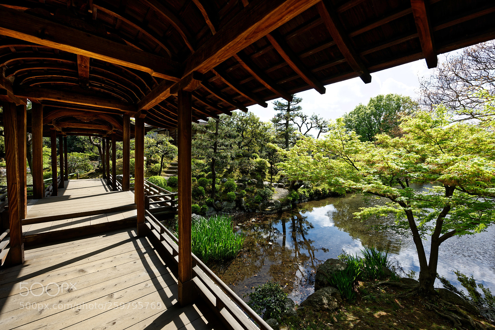 Nikon D810 sample photo. The bridge at shosei-en photography