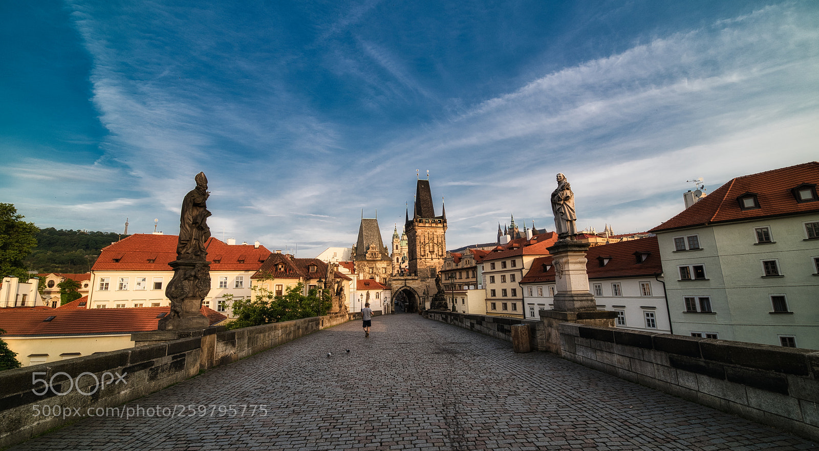 Nikon D750 sample photo. Charles bridge photography