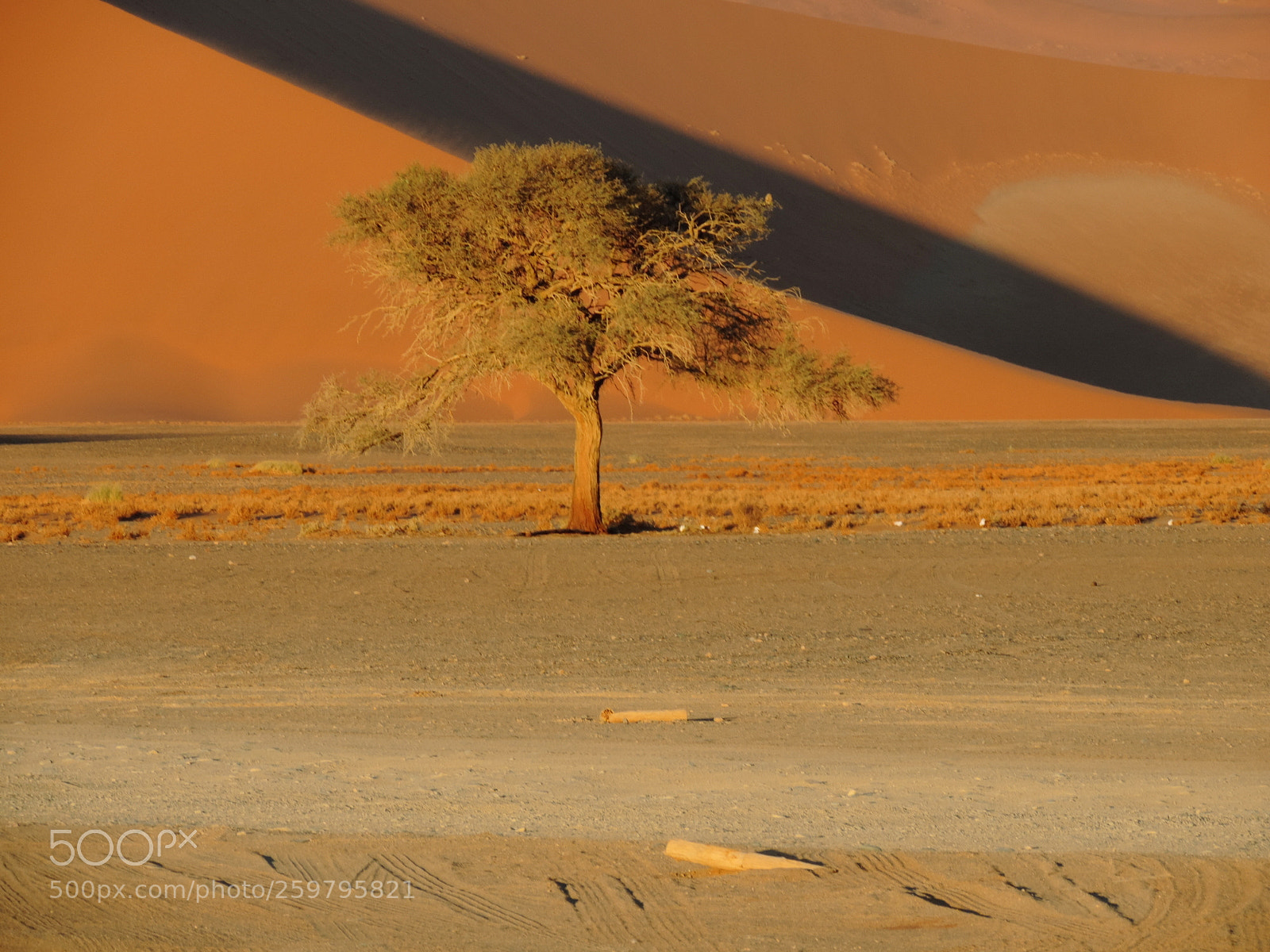Nikon Coolpix P520 sample photo. Namibia ai piedi della photography