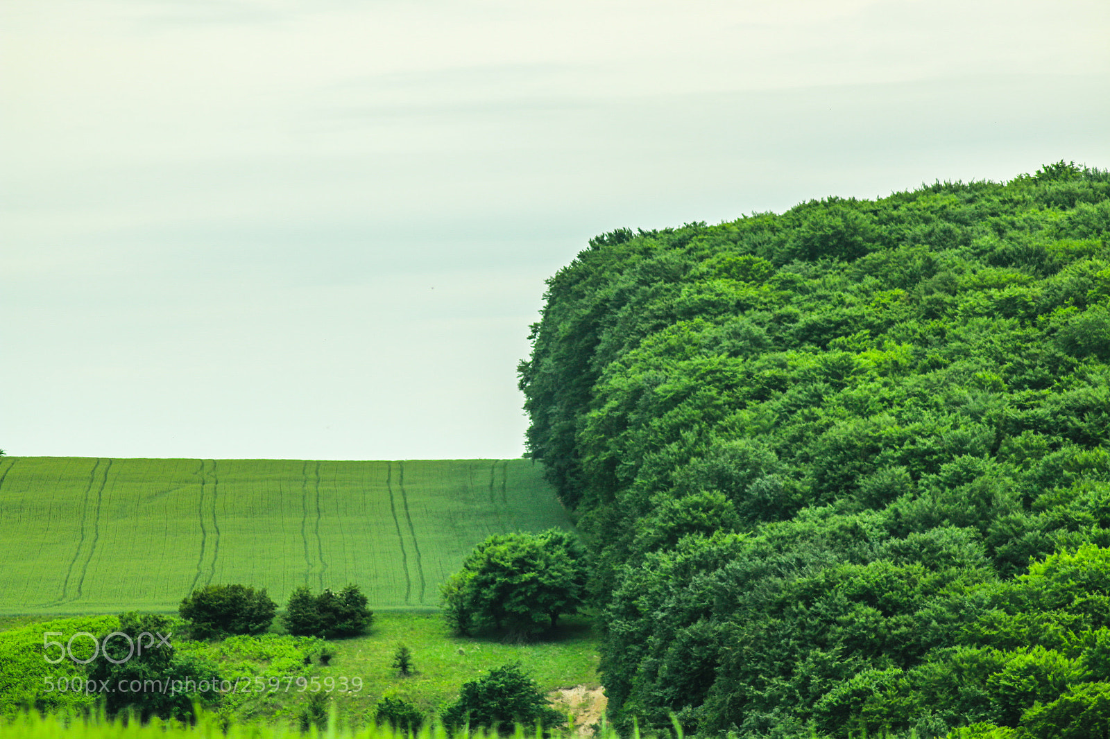 Canon EOS 70D sample photo. Untitled photography